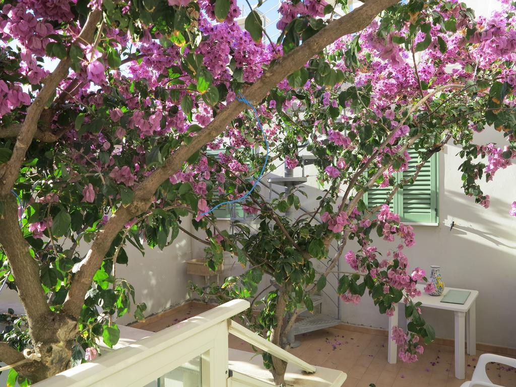 Casamare Hotel San Vincenzo Oda fotoğraf